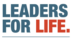 BigChange leaders for life logo